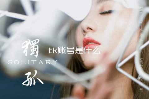 tk账号是什么